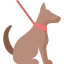 Daily/ Weekly Visits and / or Dog Walks: