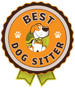 The 5 Best Dog Sitters In Rhode Island